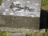 image of grave number 795881